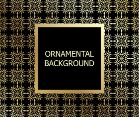 Ornament background with golden pattern vector 13