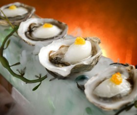 Oysters HD picture