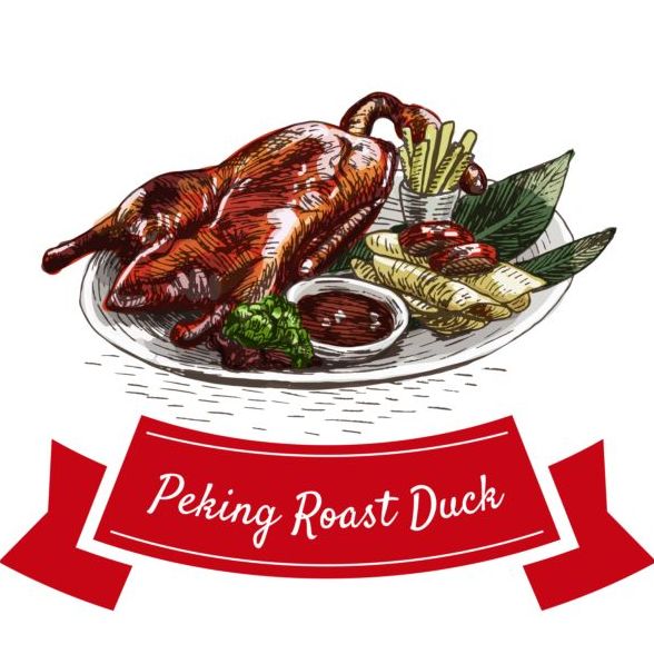Peking roast duck chinese cuisine vector