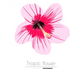 Pink tropical flowers vector material 01