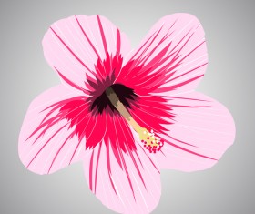 Pink tropical flowers vector material 02
