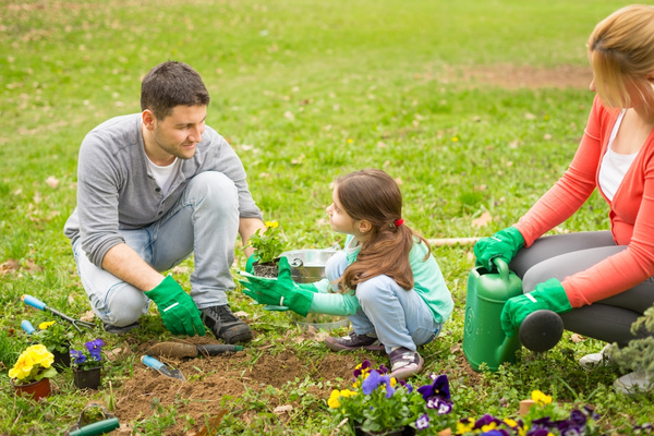 Planted flowers with father and daughter HD picture