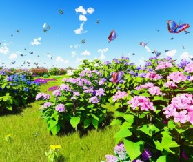 Plants flower bees and butterflies HD picture