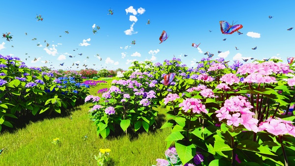 Plants flower bees and butterflies HD picture