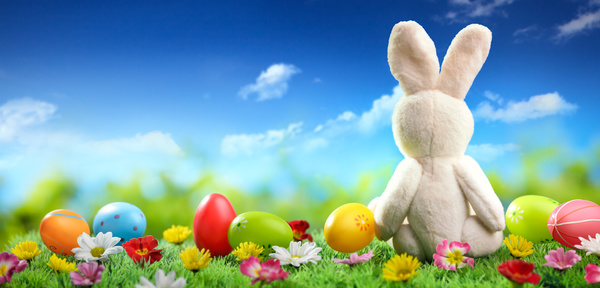 Plush rabbit and resurrection eggs HD picture