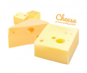 Premium quality cheese realistic vector 01