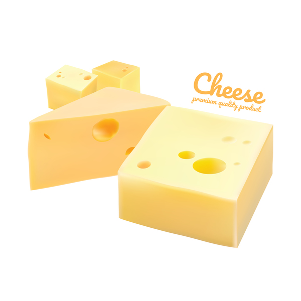 Premium quality cheese realistic vector 01