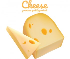 Premium quality cheese realistic vector 02