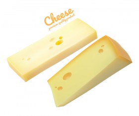 Premium quality cheese realistic vector 03