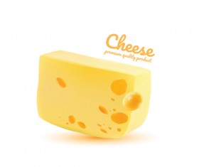 Premium quality cheese realistic vector 04