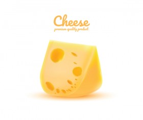 Premium quality cheese realistic vector 05