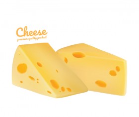 Premium quality cheese realistic vector 06