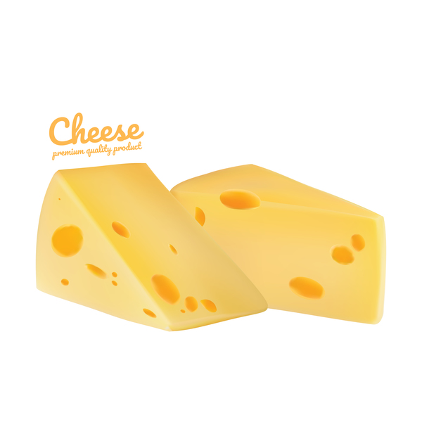 Premium quality cheese realistic vector 06