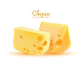 Premium quality cheese realistic vector 07