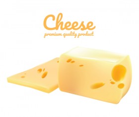 Premium quality cheese realistic vector 08