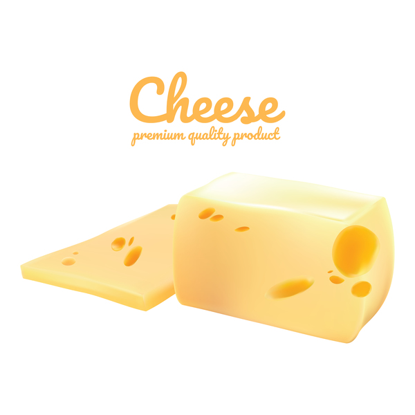 Premium quality cheese realistic vector 08