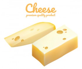 Premium quality cheese realistic vector 09