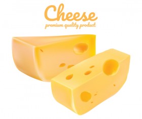 Premium quality cheese realistic vector 10
