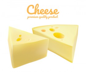 Premium quality cheese realistic vector 11