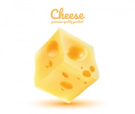 Premium quality cheese realistic vector 12