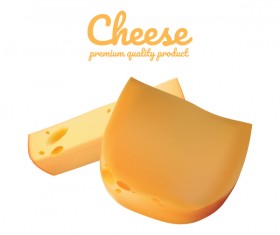 Premium quality cheese realistic vector 13