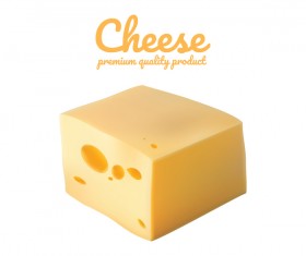 Premium quality cheese realistic vector 14