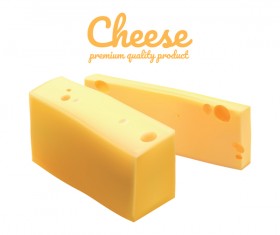 Premium quality cheese realistic vector 15