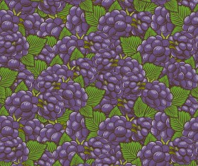 Purple grapes seamless hand drawn vector