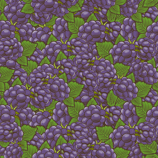Purple grapes seamless hand drawn vector