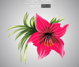 Tropical flower with leaves vector