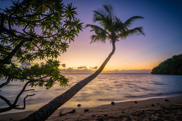 Sea scenery and seaside coconut trees Stock Photo