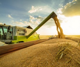 Self-propelled round-fed combine harvesters Stock Photo