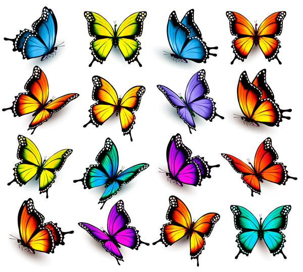 Set of colorful butterflies vector material 01