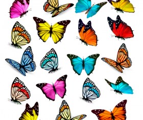 Set of colorful butterflies vector material 02