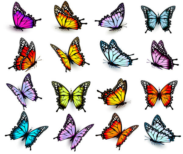 Set of colorful butterflies vector material 03