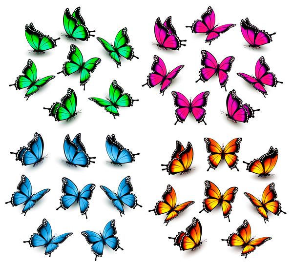 Set of colorful butterflies vector material 05