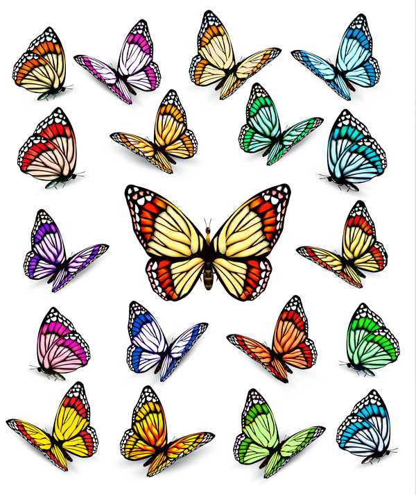 Set of colorful butterflies vector material 06
