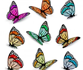 Set of colorful butterflies vector material 09