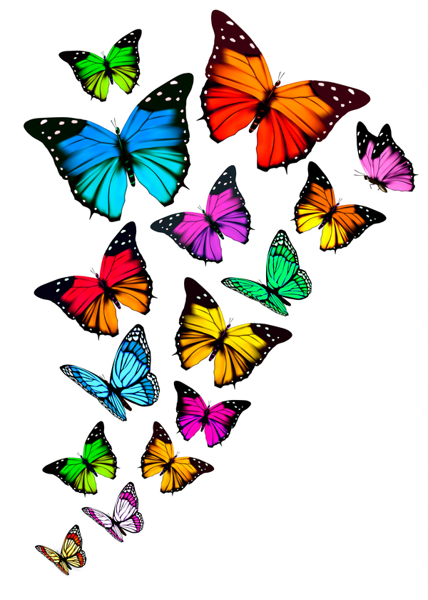 Set of colorful butterflies vector material 10