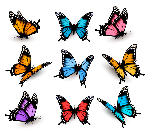 Set of colorful butterflies vector material 11