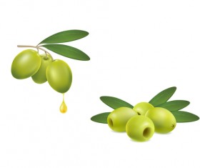 Set of green olives on white background vector 02