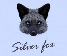 Silver fox head vector illustration 02