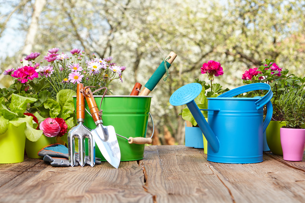 Small shovel and sprinkler on the table HD picture