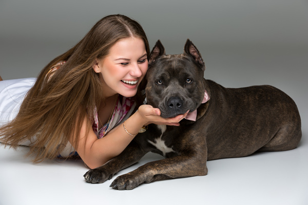 Smiling Girl with Gray Stafford Dog Stock Photo