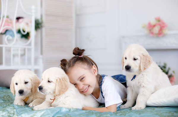 Smiling little girl with puppy Stock Photo