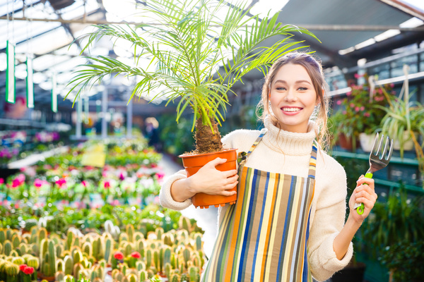 Smiling woman holding potted tropical plants HD picture
