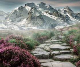 Snow and flowers on the hillside road Stock Photo