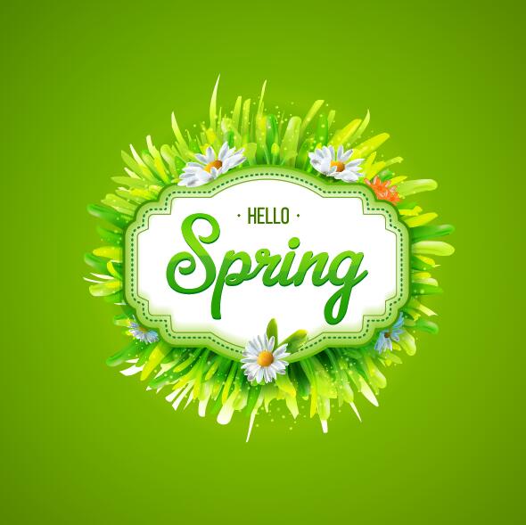 Spring card with green frame vectors