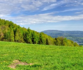 Spring green meadow and forest hills Stock Photo 03