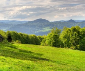 Spring green meadow and forest hills Stock Photo 04